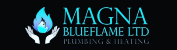 Magna Blue Flame Logo