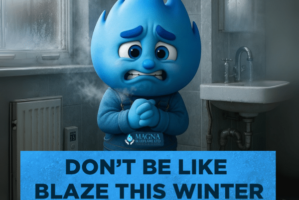 A worried blue flame cartoon character stands in a chilly bathroom, shivering, with the text: DON'T BE LIKE BLAZE THIS WINTER. Trust a Gas Safe engineer Dorset—Magna Blueflame Ltd logo below.