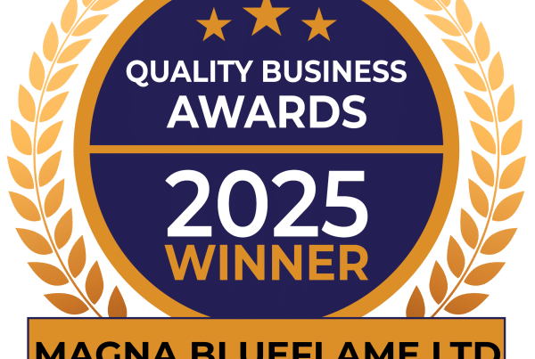 Magna Blueflame award winning